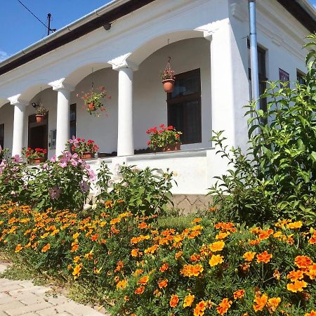 Heni Vendégháza Vadna Exterior foto