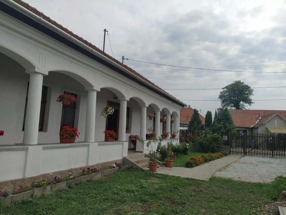 Heni Vendégháza Vadna Exterior foto