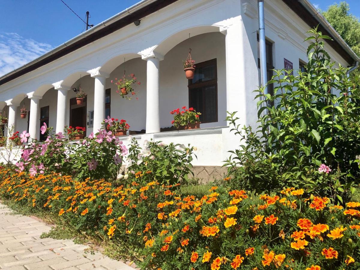 Heni Vendégháza Vadna Exterior foto