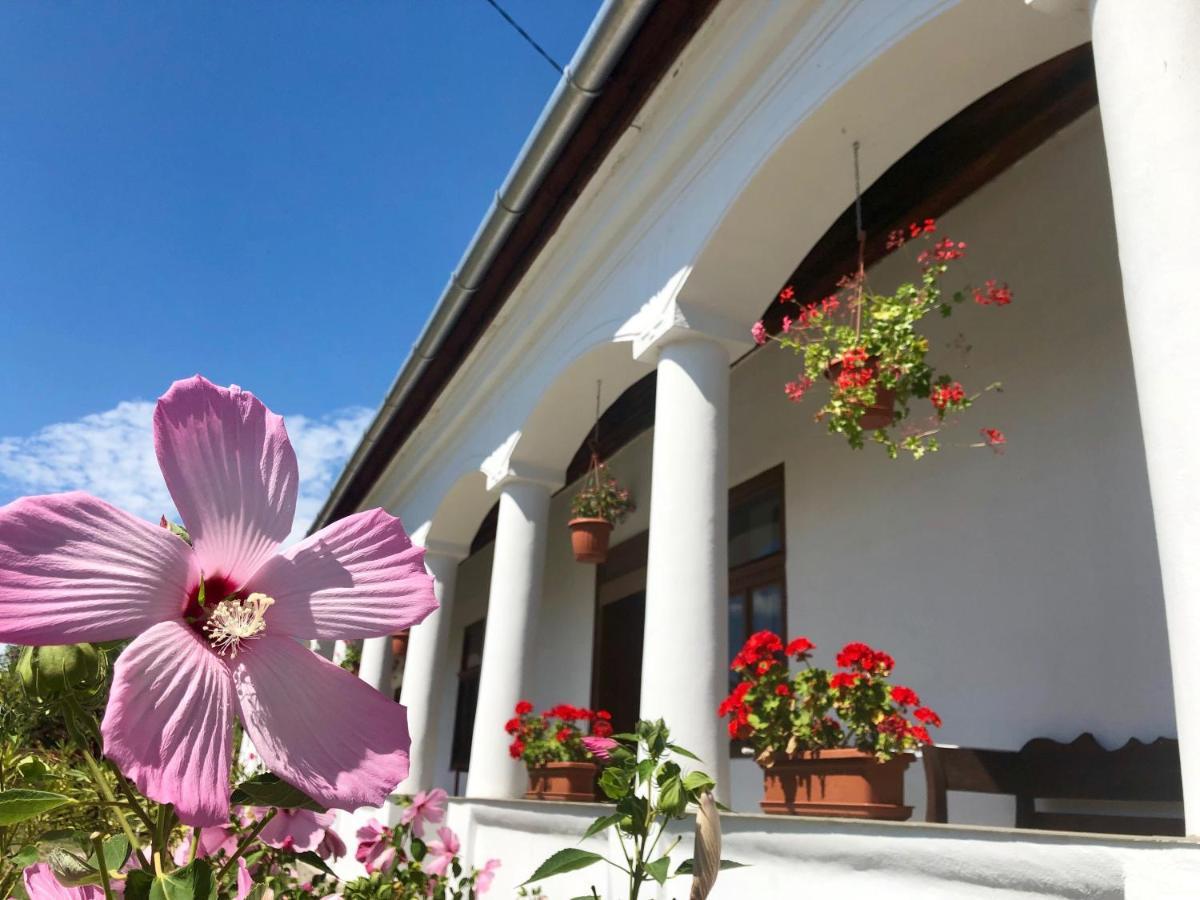 Heni Vendégháza Vadna Exterior foto