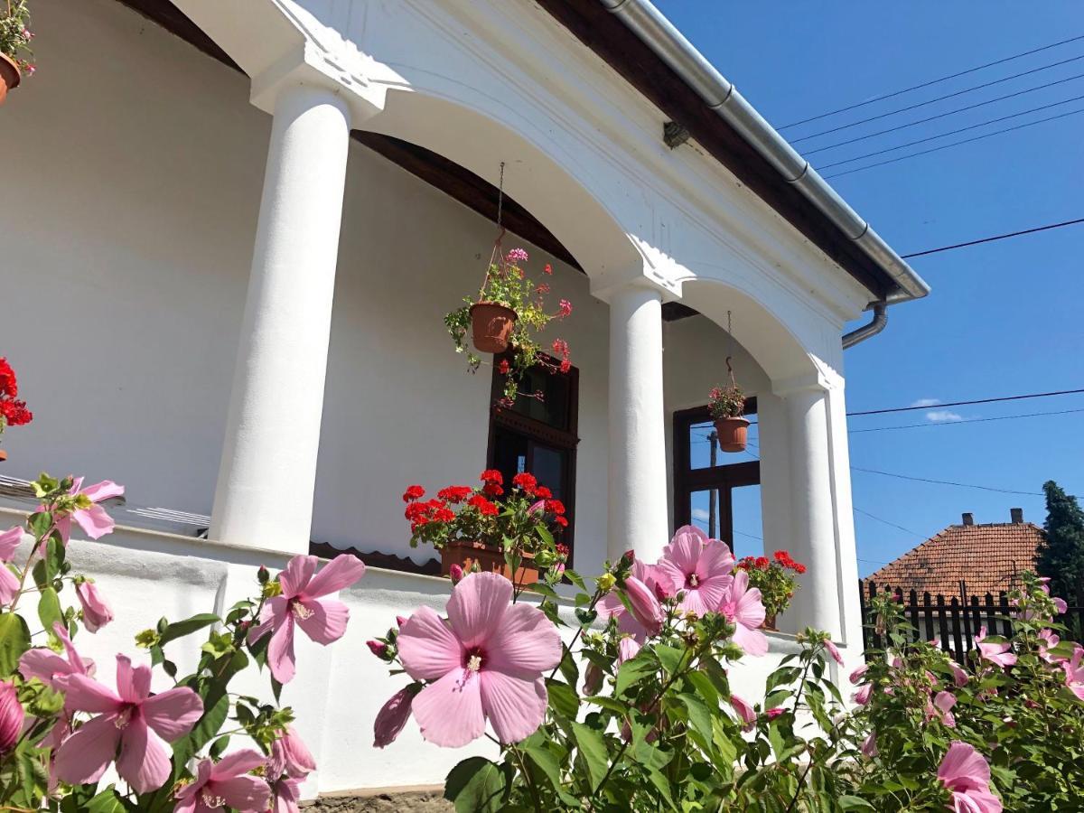 Heni Vendégháza Vadna Exterior foto