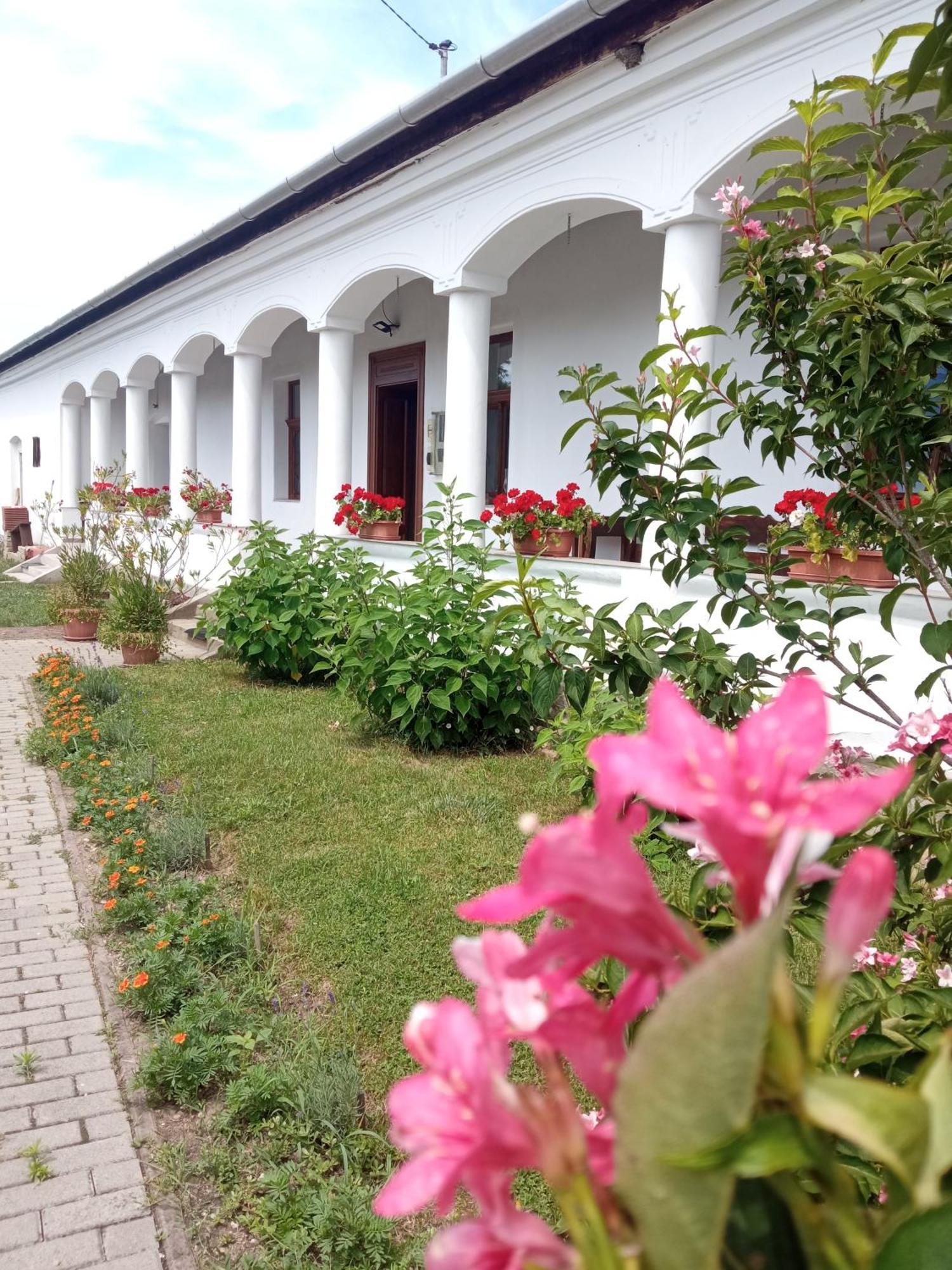 Heni Vendégháza Vadna Exterior foto
